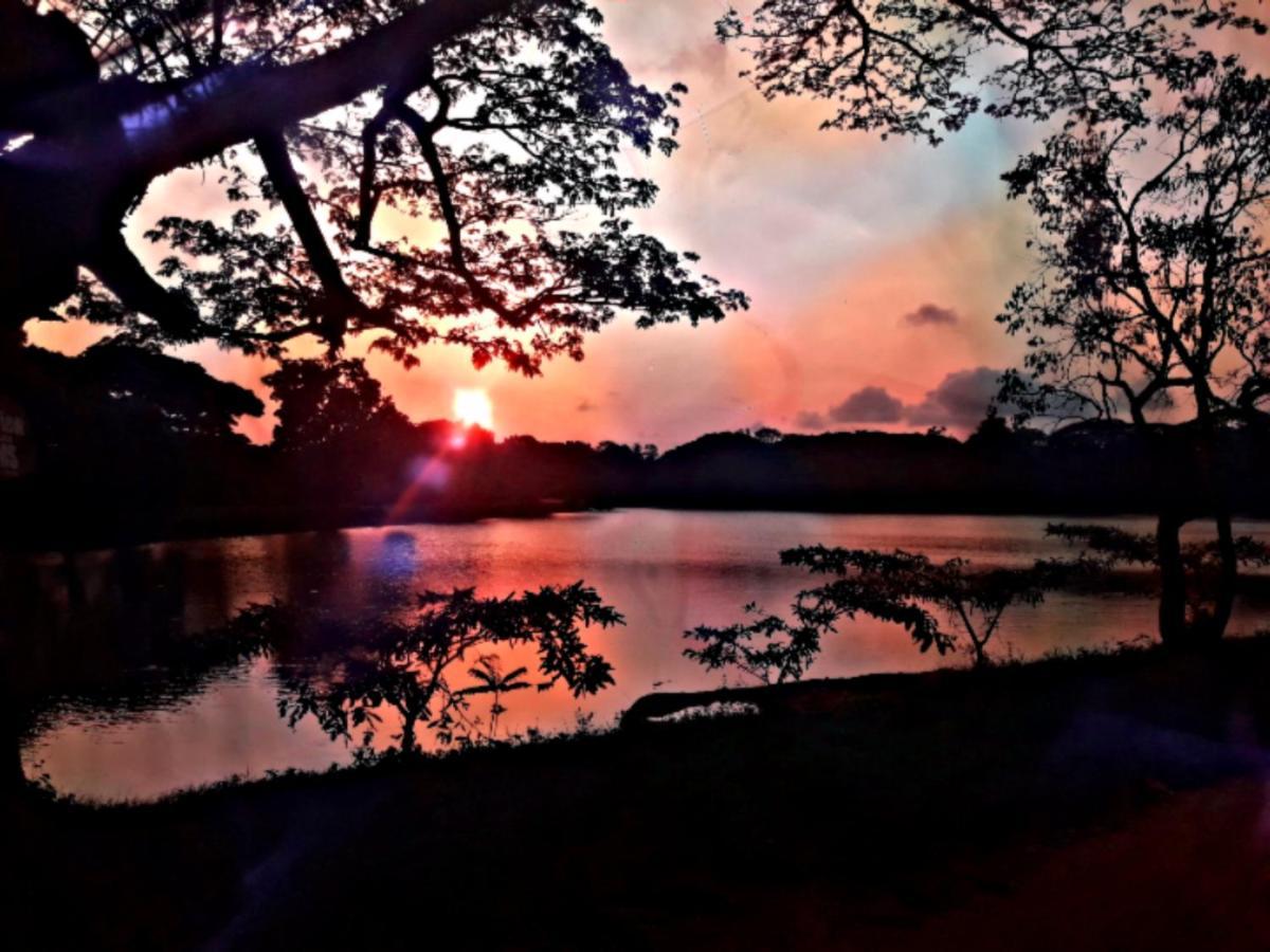 Lake View Dambulla Buitenkant foto