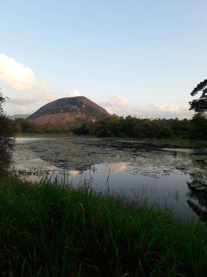 Lake View Dambulla Buitenkant foto